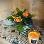 펜션 250 Yo Tal-bambinu Boutique