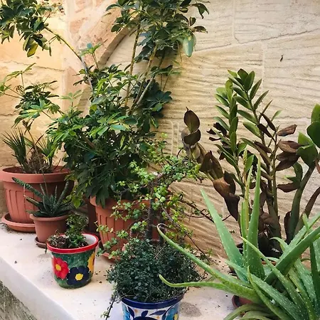 Casa de Férias 250 Yo Tal-bambinu Boutique *