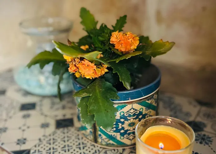 بيت للعطل 250 Yo Tal-bambinu Boutique